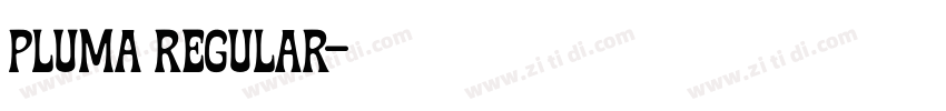 pluma Regular字体转换 pluma Regular字体转换